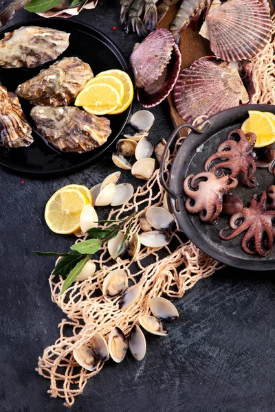 Verse Schaal Schelpdieren Arrangement Donkere Achtergrond Mediterrane Dieetconcept Vlakke Lay — Stockfoto