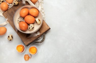 Gri arka planda tavuk yumurtası kompozisyonu. Çiftlik ürünleri ve doğal beslenme. Üst görünüm, düz görünüm, kopyalama alanı