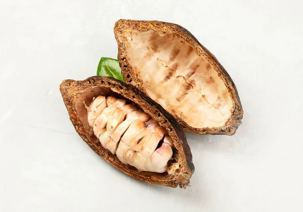 Cialda Cacao Fresca Tagliata Esponendo Semi Cacao Sfondo Bianco Vista — Foto Stock