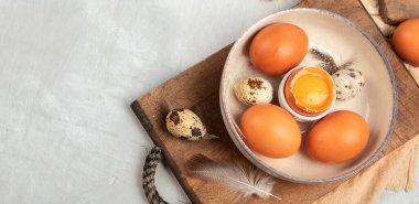 Gri arka planda tavuk yumurtası kompozisyonu. Çiftlik ürünleri ve doğal beslenme. Üst görünüm, düz görünüm, kopyalama alanı