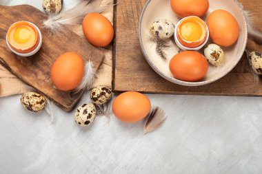Gri arka planda tavuk yumurtası kompozisyonu. Çiftlik ürünleri ve doğal beslenme. Üst görünüm, düz görünüm, kopyalama alanı