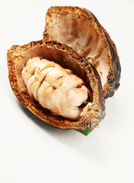 Cialda Cacao Fresca Tagliata Esponendo Semi Cacao Sfondo Bianco Vista — Foto Stock