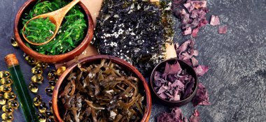 Farkfonda yosun çeşitleri var. Sağlıklı atıştırmalıklar. Üst görünüm, düz görünüm, kopyalama alanı