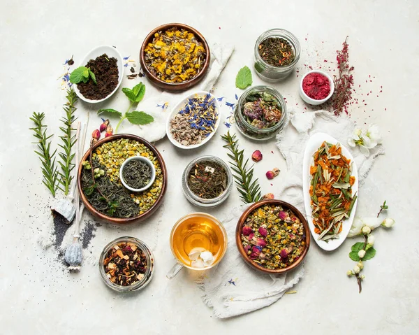 Herbal Tea Assortment Light Background Traditional Healthcare Remedies Top View — Stock Photo, Image