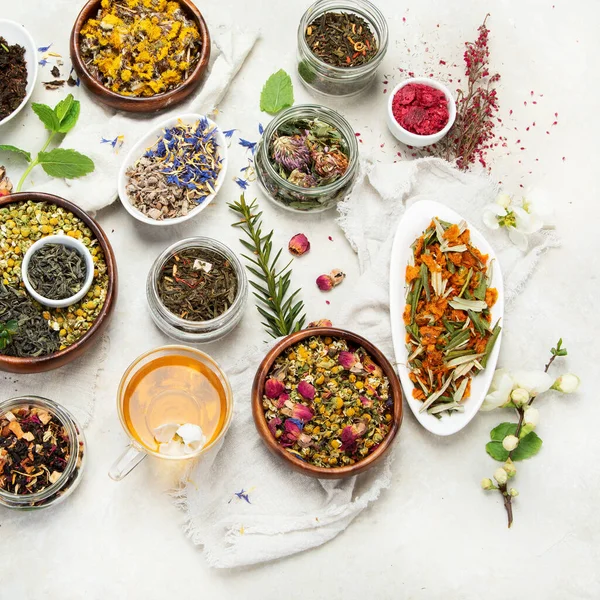 Gyógynövény Tea Választék Könnyű Háttérrel Hagyományos Egészségügyi Megoldások Felülnézet Lapos — Stock Fotó