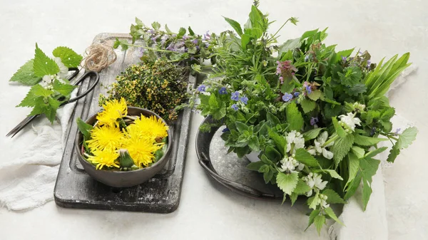 Edible plants and flowers on a light background. Wild herbs as sources of carotenoids.