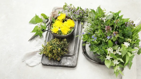 明るい背景で植物や花を食用とします カロテノイドの源としての野生のハーブ コピースペース — ストック写真