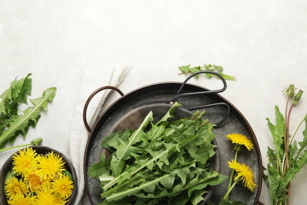 Diente León Fresco Sobre Fondo Claro Planta Comestible Nectarífera Plano — Foto de Stock