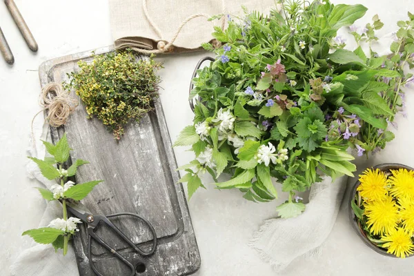 Edible plants and flowers on a light background. Wild herbs as sources of carotenoids. Flat lay, top view