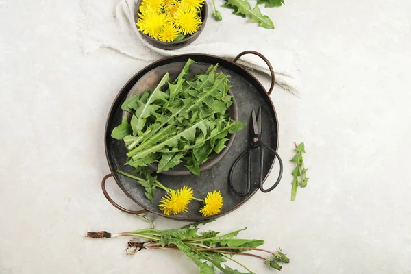 Hafif arka planda taze karahindiba. Yenilebilir bitki ve nektareröz. Düz konum, üst görünüm, kopyalama alanı