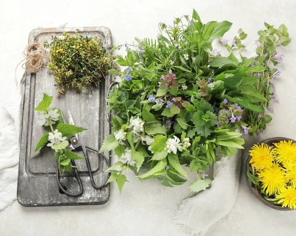 Edible plants and flowers on a light background. Wild herbs as sources of carotenoids. Flat lay, top view