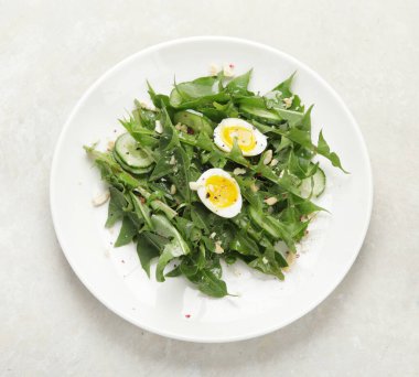 Hafif arka planda taze karahindiba salatası. Yenilebilir bitki ve nektareröz. Üst manzara, düz uzanma