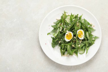 Hafif arka planda taze karahindiba salatası. Yenilebilir bitki ve nektareröz. Üst görünüm, düz görünüm, kopyalama alanı
