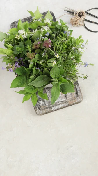 Edible plants and flowers on a light background. Wild herbs as sources of carotenoids. Flat lay, top view, copy space