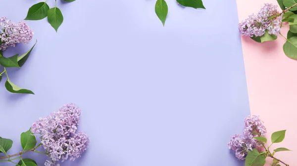 White Pink Background Lilac Flowers Spring Natural Background Top View —  Fotos de Stock