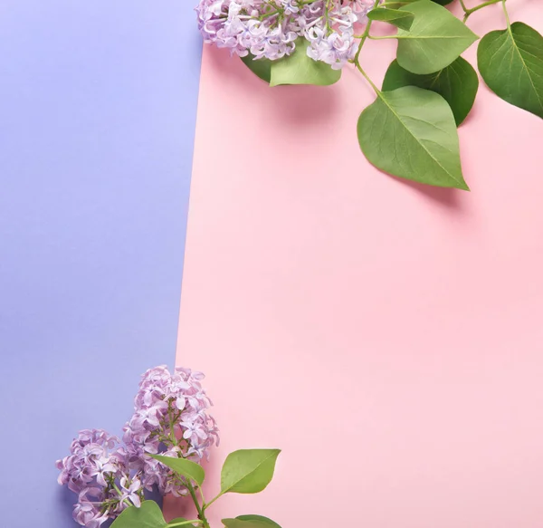 White Pink Background Lilac Flowers Spring Natural Background Top View — 图库照片