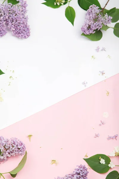 Λευκό Και Ροζ Φόντο Λιλά Λουλούδια Φυσικό Φόντο Άνοιξη Πάνω — Φωτογραφία Αρχείου