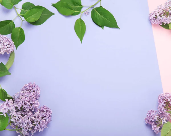 White Pink Background Lilac Flowers Spring Natural Background Top View — Stockfoto