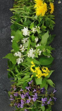 Edible plants and flowers on a dark background. Wild herbs as sources of carotenoids. Flat lay, top view, copy space
