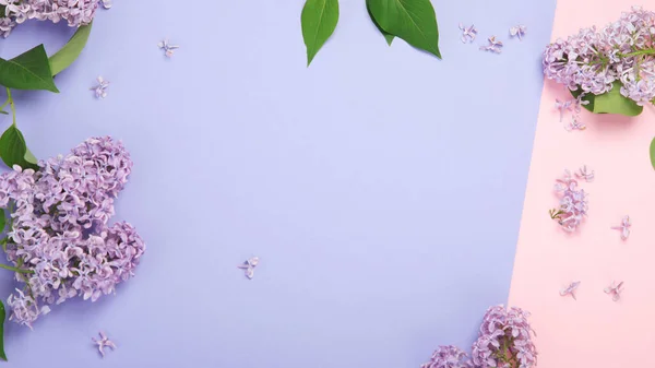 White Pink Background Lilac Flowers Spring Natural Background Top View —  Fotos de Stock