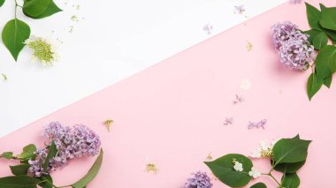 Beyaz ve pembe arka plan ve leylak çiçekleri. Bahar doğal arka plan. Üst görünüm, düz görünüm, kopyalama alanı