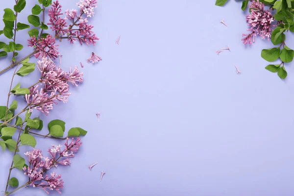 Lilac Flowers Cup Tea Colourful Background Atmospheric Summer Concept Top — 图库照片