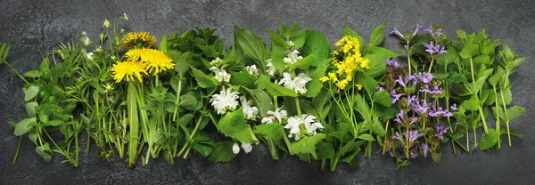 Edible plants and flowers on a dark background. Wild herbs as sources of carotenoids. Flat lay, top view, panorama