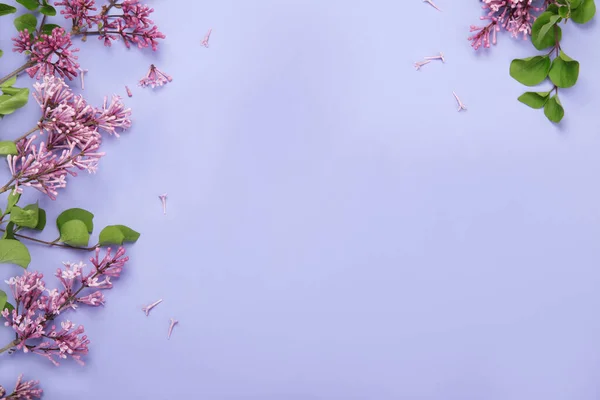 Lilac Bloemen Met Kopje Thee Kleurrijke Achtergrond Sfeervol Zomerconcept Bovenaanzicht — Stockfoto