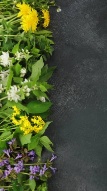 Edible plants and flowers on a dark background. Wild herbs as sources of carotenoids. Flat lay, top view, copy space