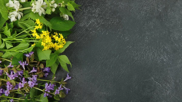 Edible Plants Flowers Dark Background Wild Herbs Sources Carotenoids Flat — Stockfoto