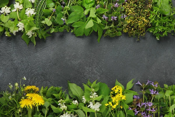 Edible Plants Flowers Dark Background Wild Herbs Sources Carotenoids Flat — стоковое фото