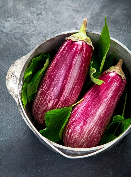 Fresh Aubergine Eggplant Gray Background Popular Component Healthy Diets Top — Stock Photo, Image