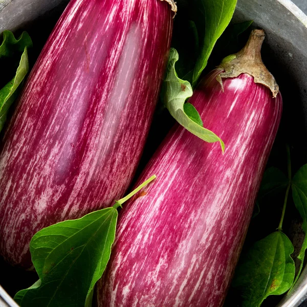 Fresh Aubergine Eggplant Gray Background Popular Component Healthy Diets Top — Stockfoto