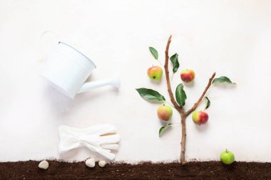 Springtime gardening composition on neutral background. Organic vegetables, fruits and garden tools. Top view, copy space