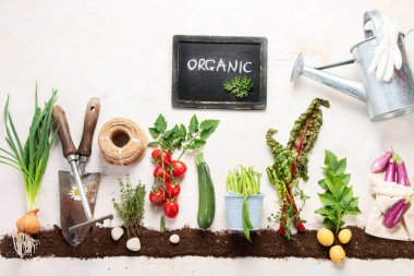 Springtime gardening composition on neutral background. Organic vegetables, berries and garden tools. Top view, copy space