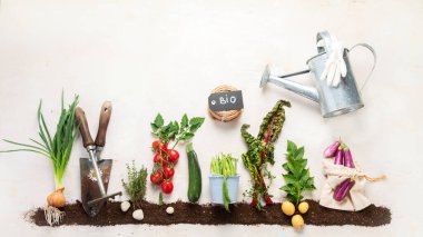 Springtime gardening composition on neutral background. Organic vegetables, berries and garden tools. Top view, copy space