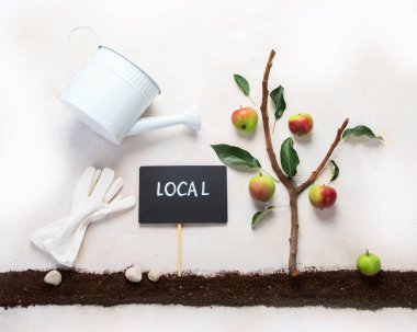 Springtime gardening composition on neutral background. Organic vegetables, fruits and garden tools. Top view, copy space