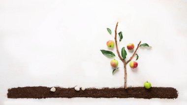 Springtime gardening composition on neutral background. Organic vegetables, fruits and garden tools. Top view, copy space