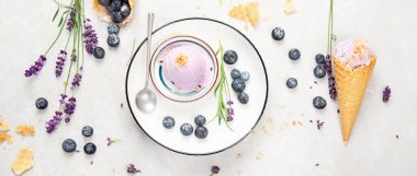 Organic blueberry ice-cream on neutral background. Concept of organic food. Top view, panoramma