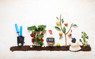 Springtime gardening composition on neutral background. Organic vegetables, fruits and garden tools. Top view, copy space
