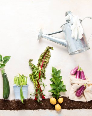Springtime gardening composition on neutral background. Organic vegetables, berries and garden tools. Top view, copy space