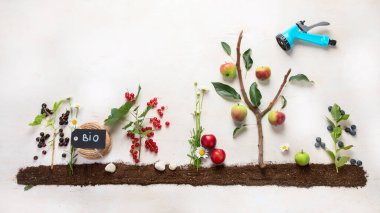 Springtime gardening composition on neutral background. Organic vegetables, fruits and garden tools. Top view, copy space