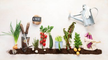 Springtime gardening composition on neutral background. Organic vegetables, berries and garden tools. Top view, copy space