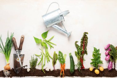 Springtime gardening composition on neutral background. Organic vegetables, berries and garden tools. Top view, copy space