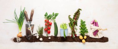 Springtime gardening composition on neutral background. Organic vegetables, berries and garden tools. Top view, panoramma