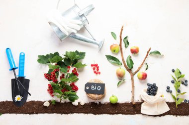 Springtime gardening composition on neutral background. Organic vegetables, fruits and garden tools. Top view, copy space