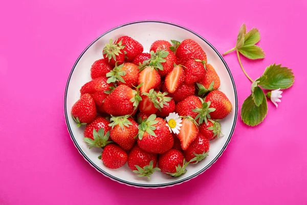 Strawberries Color Background Concept Organic Food Top View Copy Space — Fotografia de Stock