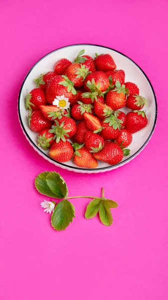 Strawberries Color Background Concept Organic Food Top View Copy Space —  Fotos de Stock