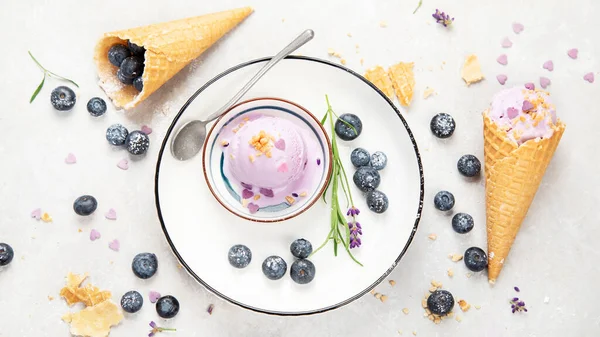 Organic blueberry ice-cream on neutral background. Concept of organic food. Top view
