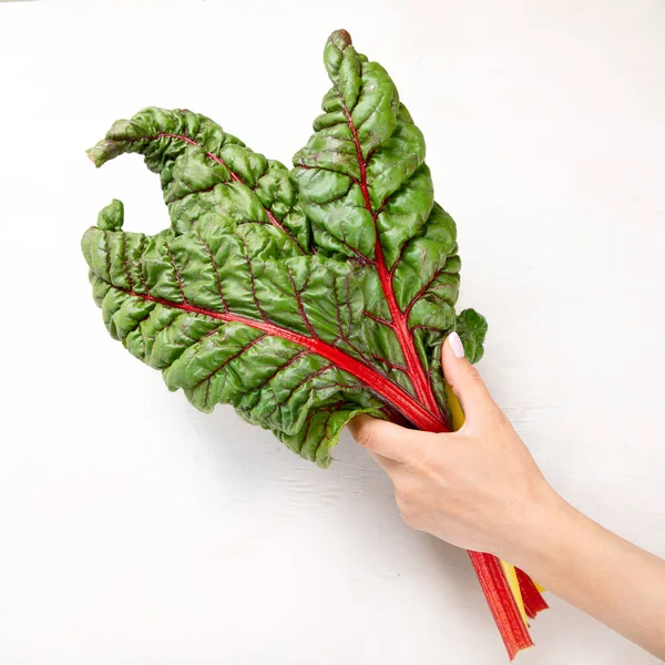 Raw Chard Light Background Highly Nutritious Leaves Popular Component Healthy — Stok fotoğraf